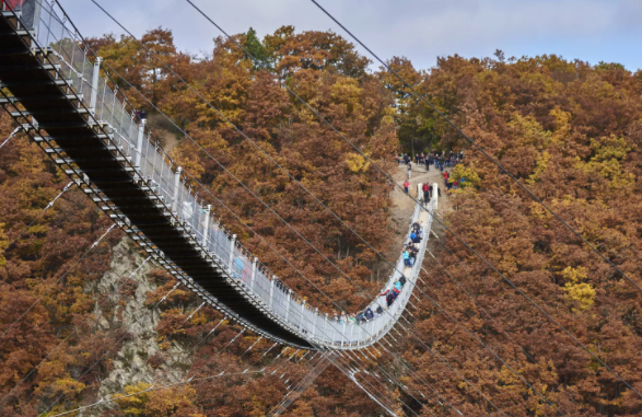 Hängebrücke